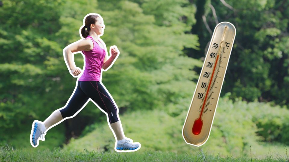 Clima cálido con buena calidad del aire