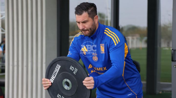 Tigres regresa a los entrenamientos tras ganar el Clásico Regio 142