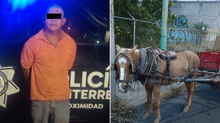 Detienen a hombre por golpear a un caballo en Monterrey