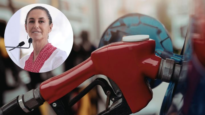 ‘Si no interviniéramos, gasolina costaría más de 30 pesos’: Sheinbaum