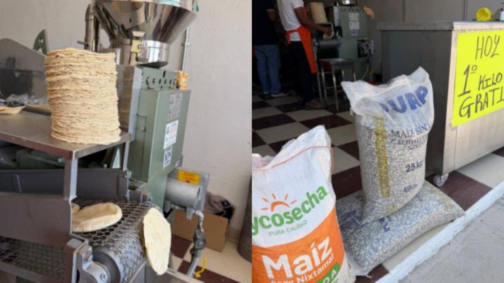 Agricultura y Profeco descartan aumento en el precio de la tortilla