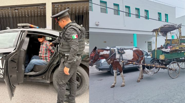 Detienen a hombre por maltratar a una yegua en Monterrey