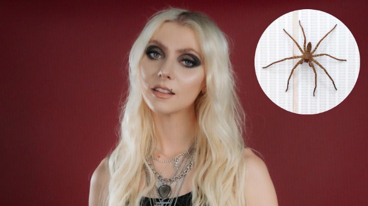 Hospitalizan a Taylor Momsen por picadura de araña venenosa en México