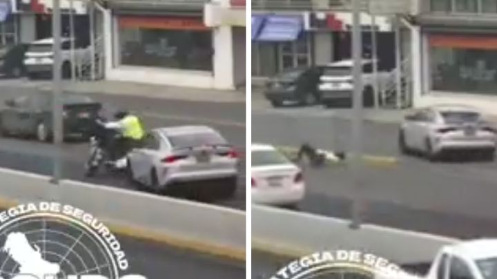 Video: Auto atropella a tránsito de Monterrey y se da a la fuga en avenida Gonzalitos