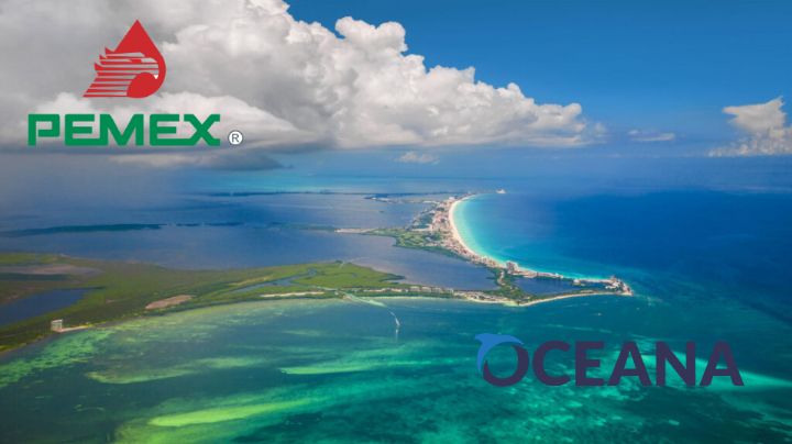 Oceana califica de "insuficiente" la aceptación de culpa de Pemex por derrame en el Golfo