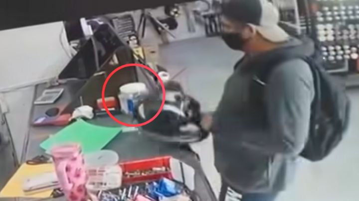 Hombre roba colecta destinada a perros y gatos sin hogar en Linares