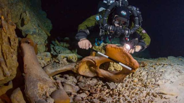 Buzos extranjeros destruyen restos milenarios en el cenote Hoyo Negro en Tulum