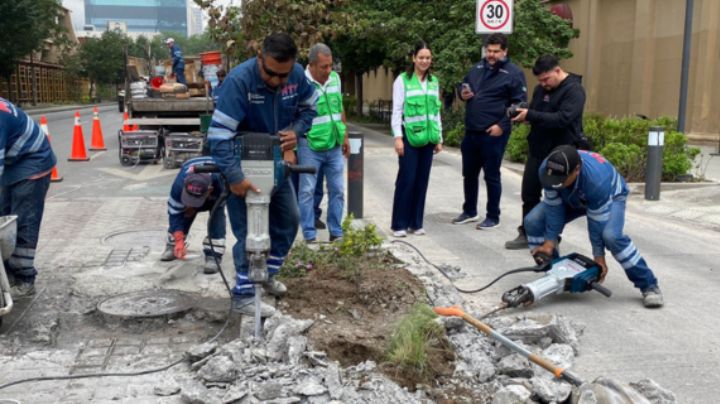 Monterrey retira jardineras de camellón en avenida Ocampo colocadas por Colosio