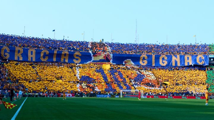 'El Volcán' se pinta de Tigres, México y Francia para homenajear a Gignac