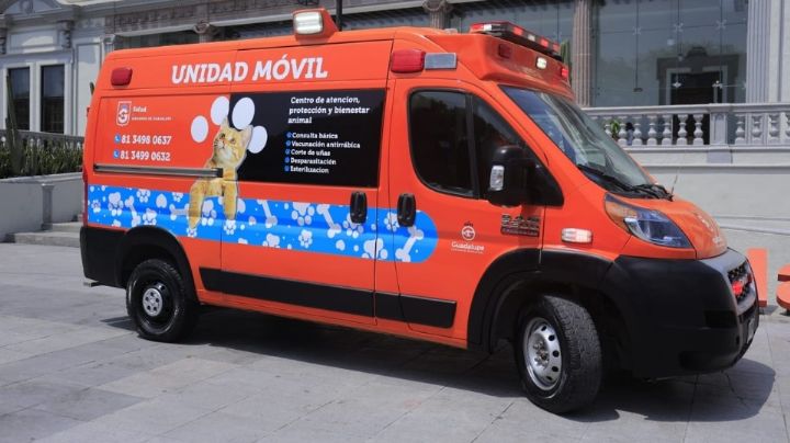 Crea Guadalupe su primer unidad veterinaria móvil
