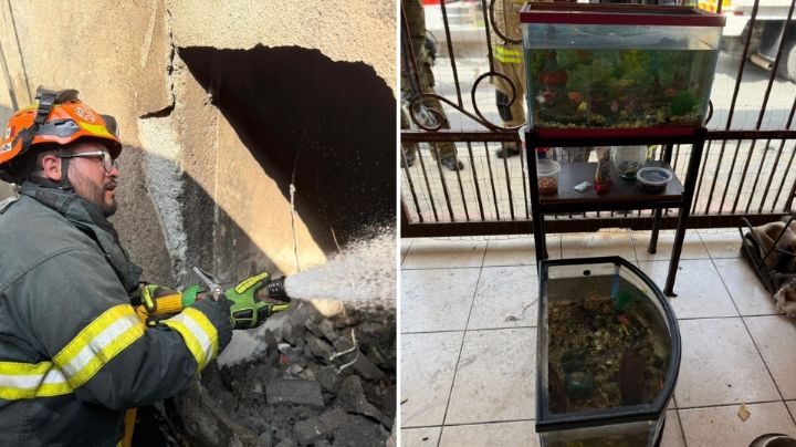 Explota tanque de gas en Santiago y deja a mascotas muertas