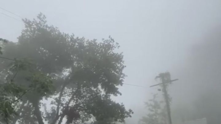 Se registra denso banco de niebla en la carretera a Cola de Caballo, en Santiago NL