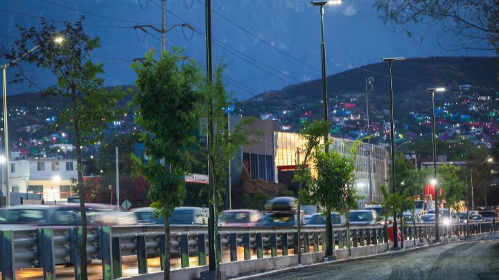 Enverdecen avenida Morones Prieto con plantación de 240 árboles