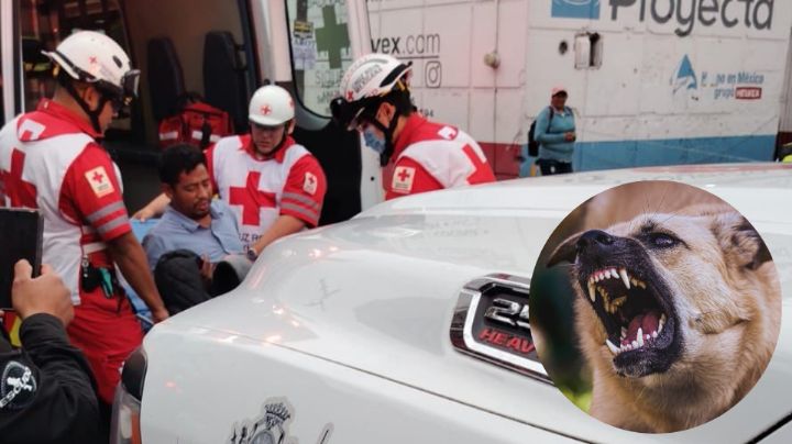 Perros atacan a hombre dormido en la colonia Industrial, en Monterrey