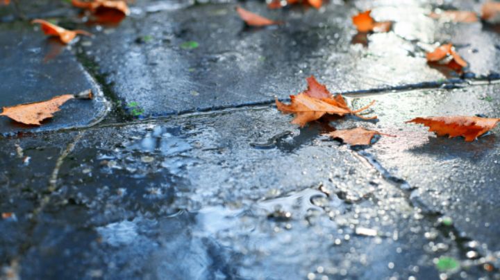 ¿Lloverá todo el fin de semana? Así estará el clima en Saltillo