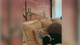 Ángela Aguilar desata críticas en redes tras publicación de su mascota en la habitación de Inti