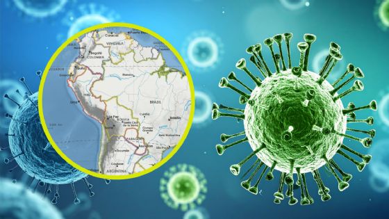 Pareja vinculada a hantavirus estuvo en Latinoamérica: ¿Qué países están en alerta?