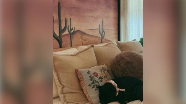 Ángela Aguilar desata críticas en redes tras publicación de su mascota en la habitación de Inti