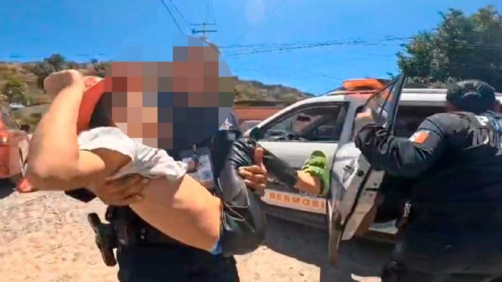 Menor de siete años es hospitalizada tras picadura de viuda negra en Hermosillo