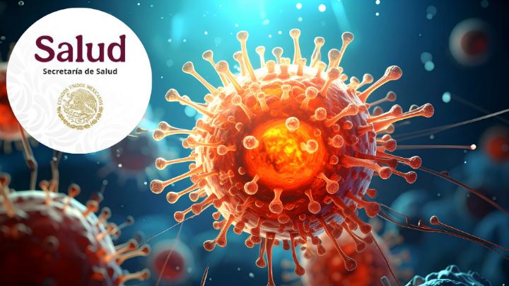 México lanza aviso epidemiológico por brote de hantavirus