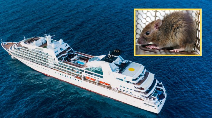 ¿Hay casos de Hantavirus en México? Esto dice la Secretaría de Salud