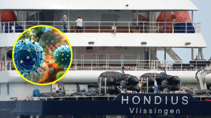 Descartan que hantavirus haya mutado tras brote en crucero