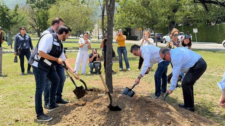 Avanza arborización en San Pedro; suma 640 árboles plantados