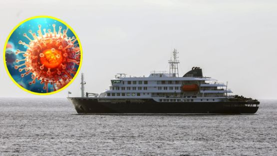 OMS declarará fin del brote de hantavirus el 2 de julio