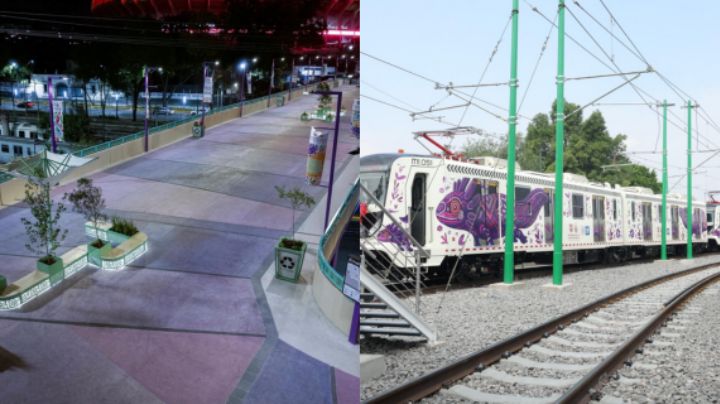 CDMX se pinta de morado y de ajolotes; desata críticas en redes