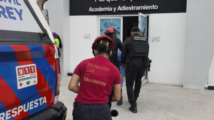 Ataque de abejas deja ocho personas heridas y tres perros lesionados en Monterrey