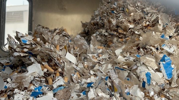 Destruyen más de 20 millones de cigarros ilegales en NL