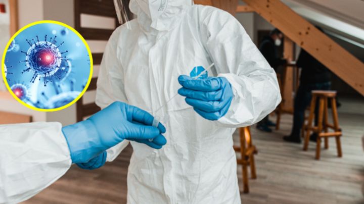 México activa vigilancia epidemiológica por ébola y hantavirus