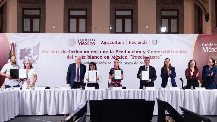 Sheinbaum firma acuerdo para garantizar precio justo al maíz blanco
