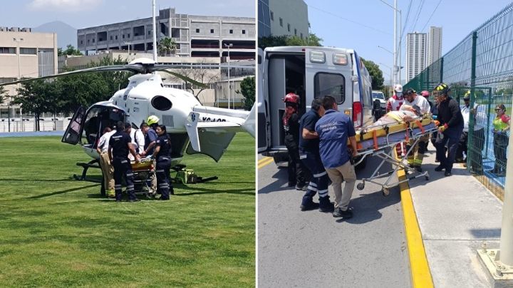 Ataque de abejas deja un muerto y dos heridos en sierra de Santiago