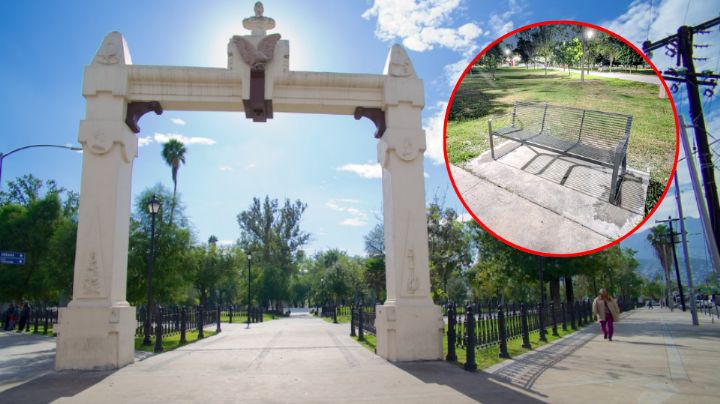 Instalan nuevas bancas en la Alameda Mariano Escobedo como parte de trabajos de rehabilitación