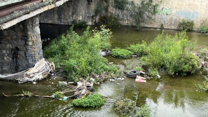 Vecinos denuncian contaminación y malos olores en Arroyo Seco de Monterrey