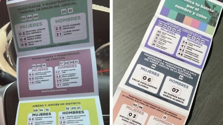 Veta Samuel ley que prohíbe acordeones y QR en elecciones