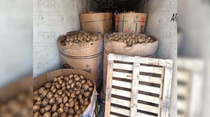 Decomisan cerca de una tonelada de metanfetamina en Durango