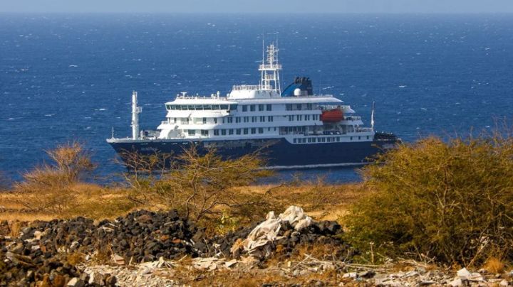 "Esto no es es otro covid" Asegura director de la OMS a Tenerife frente al brote de hantavirus