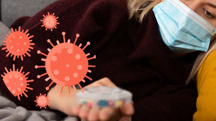 OMS no descarta que el hantavirus pueda transmitirse de persona a persona