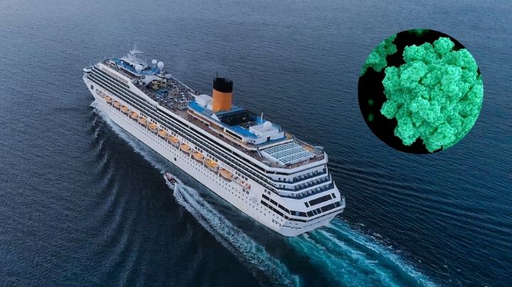 Ahora enferman más de 100 personas por norovirus en otro crucero