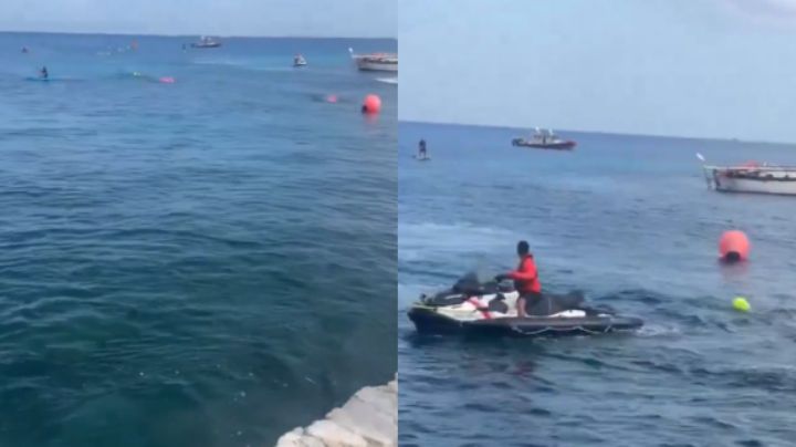 Cocodrilo irrumpe en plena competencia en Cozumel y el video se vuelve viral