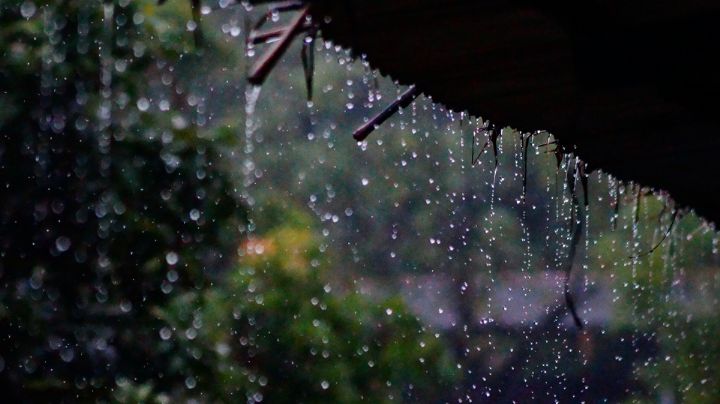 ¿Seguirá la lluvia? Así estará el clima en Nuevo León esta semana