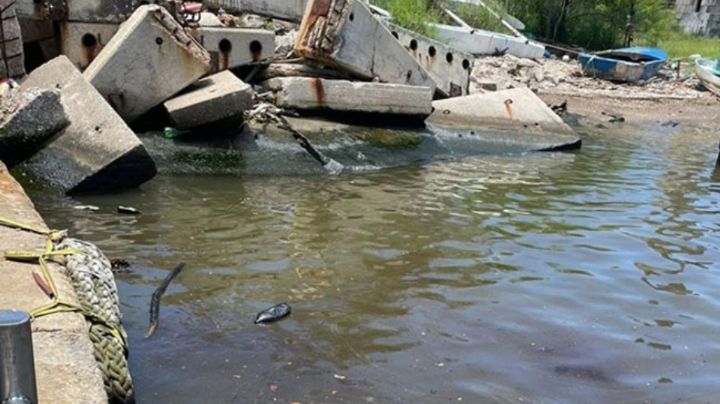 Denuncian presunto derrame de crudo en río Pánuco; Pemex lo descarta