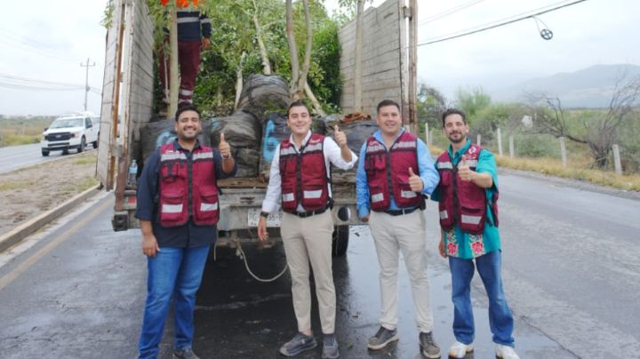 García reforestará avenida Lincoln con mil árboles