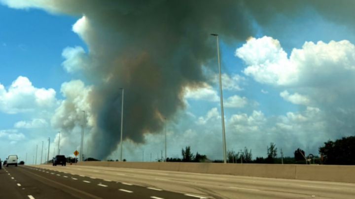 Incendios forestales en Miami consumen más de 2 mil hectáreas de vegetación