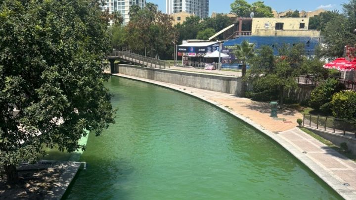 Vuelve a teñirse de verde el Paseo Santa Lucía
