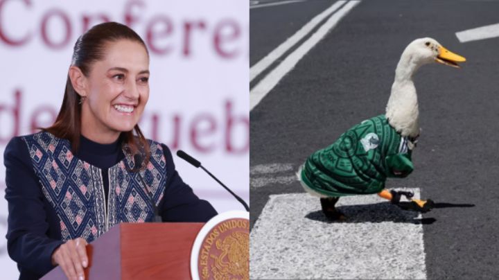 Sheinbaum invitará al pato mundialista Merlín a 'La Mañanera'