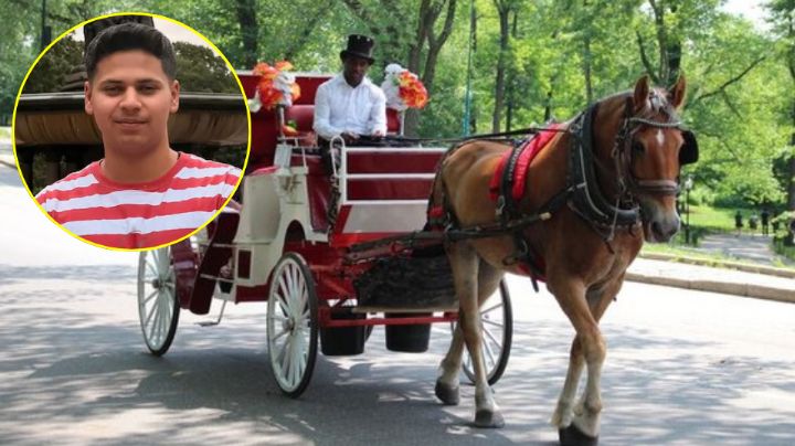 Muere joven al caer de carruaje tirado por caballo en Central Park