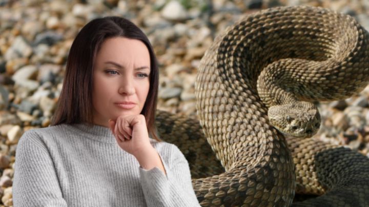 ¿Cómo saber si una víbora de cascabel está cerca en NL? Estas son las señales